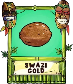 swazi-gold.webp