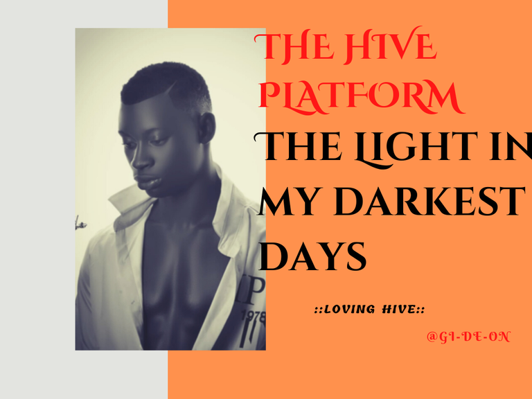 THE HIVE PLATFORM The Light in my darkets days.png