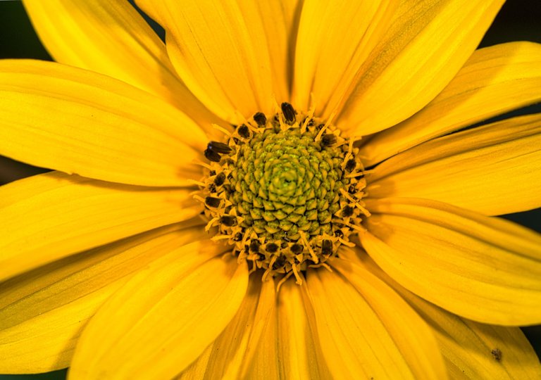 53099411390_35290dd577_o.jpg