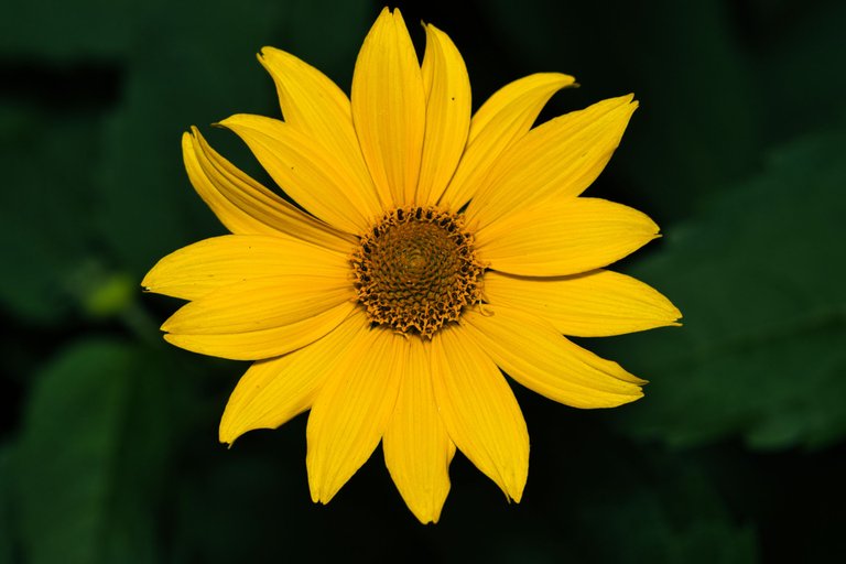 54703858036_190a00798b_o.jpg