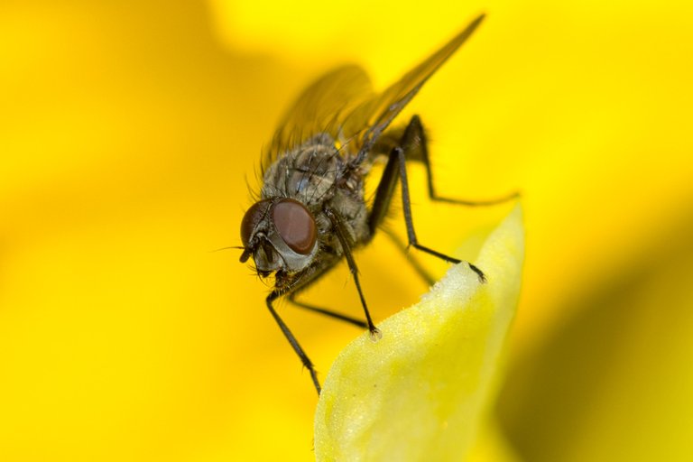 54502766212_ba2d6319e9_o.jpg