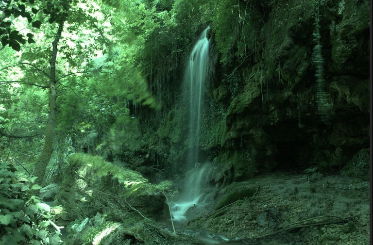 DSC_0751.jpg