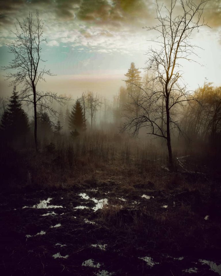 WhatsApp Image 2021-05-18 at 00.40.25.jpeg