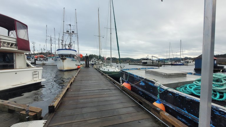 Port Hardy | Canada