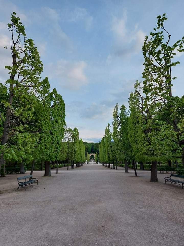 schönbrunn park.jpg