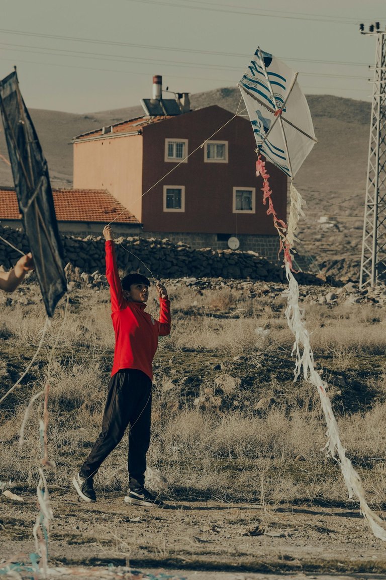 pexels-ridvan-ayrik-306414752-16097630.jpg