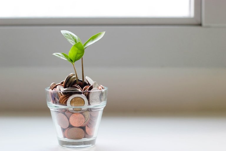 Empowering the Next Generation: Teaching Financial Literacy

