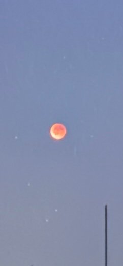 IMG_1539.jpeg
