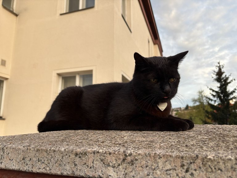 IMG_0704.JPEG