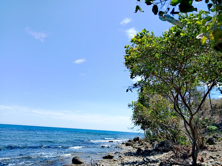 IMG_20250630_161447.png