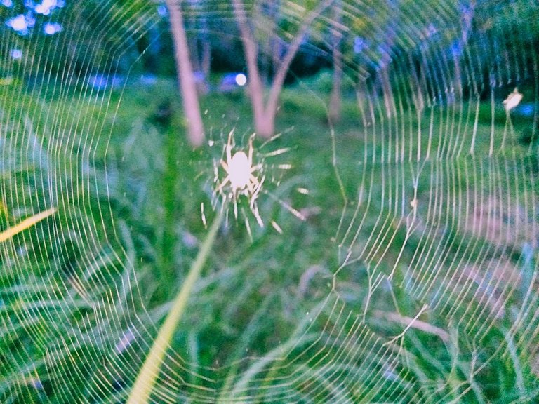 IMG_20230826_002838.jpg