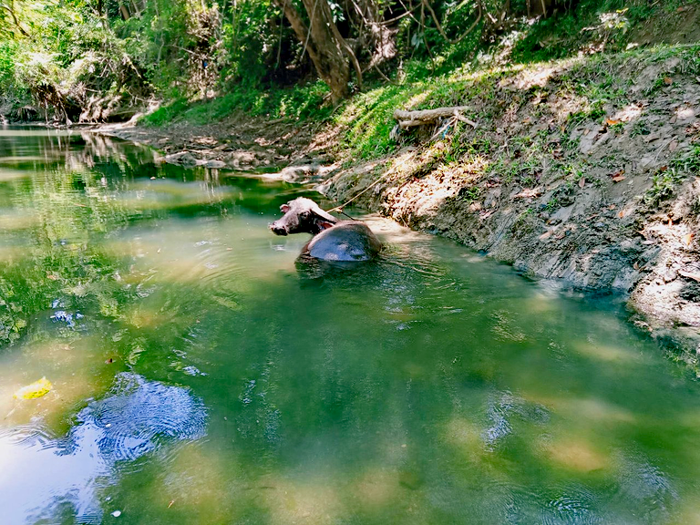 Hot Season Still Continues- River is The Perfect Place To Visit