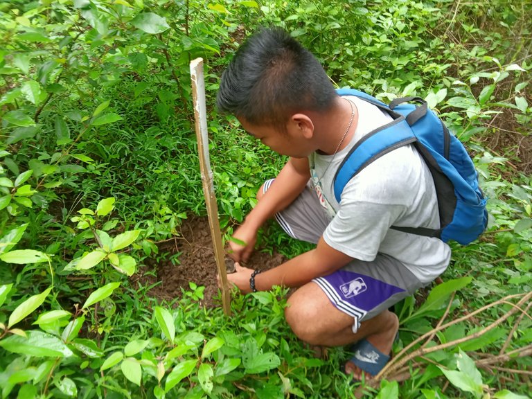 My Daily Life Post: Tree Planting Activity At Barangay Pagawan Manticao Misamis Oriental