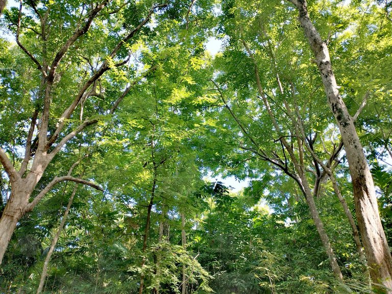 IMG_20250702_091123.jpg