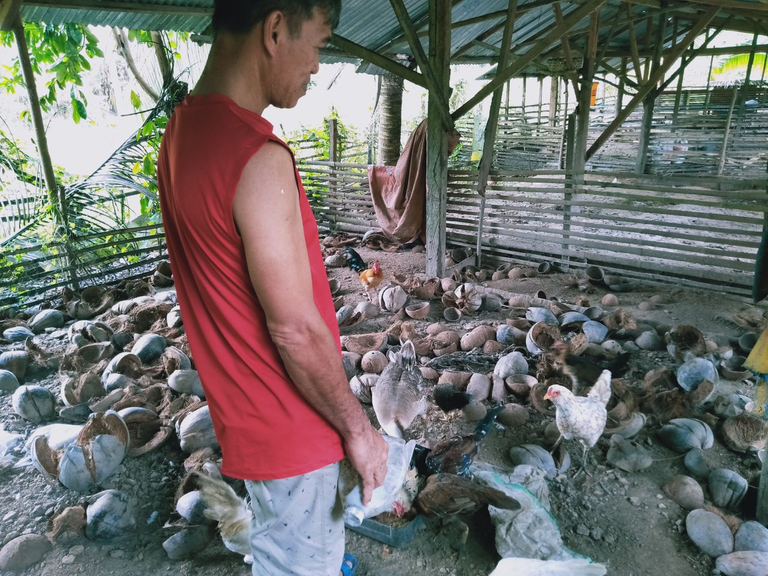 Visiting Our Neighbor's Farm In Purok 17, Poblacion, Manticao Misamis Oriental