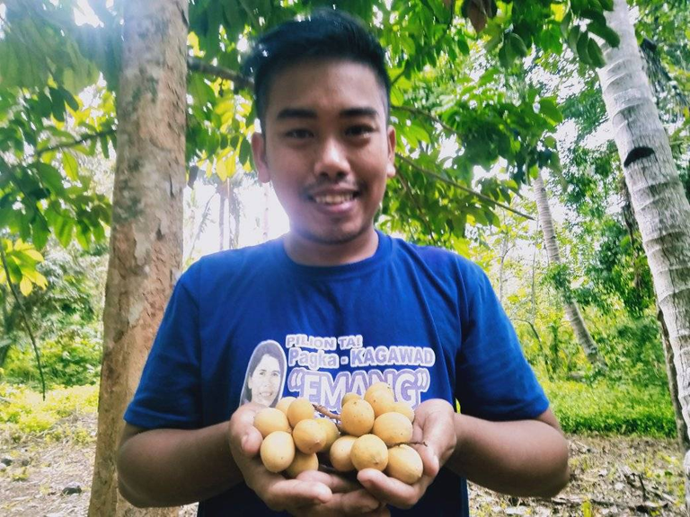 Daily Life Post: "Checking and Harvesting Lanzones Fruits"