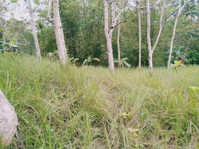 IMG20230301110817.jpg