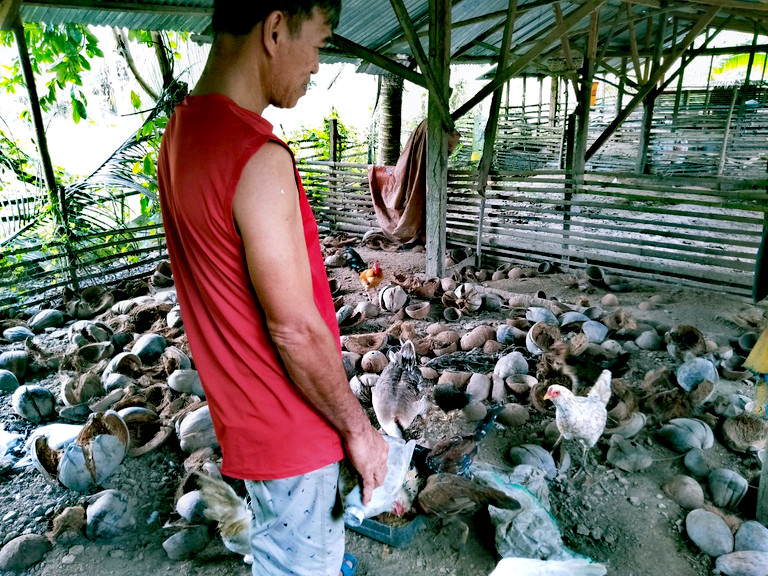 First Time Visit At Our Neighbor's Farm