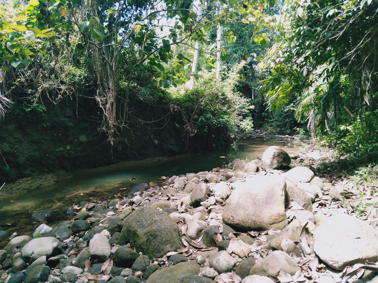 IMG20230301111609.jpg
