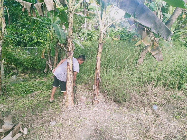 IMG20221007151517.jpg