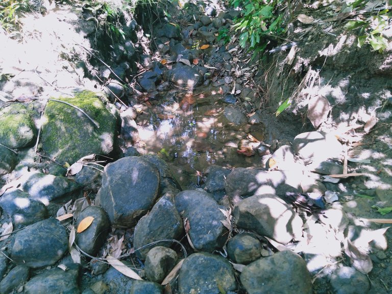 IMG20230301110153.jpg