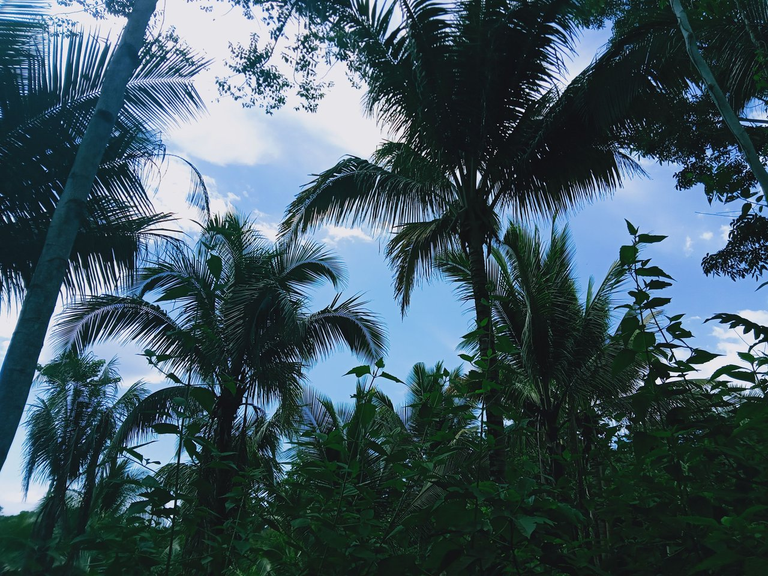 e3f1c1725cea72d609f5a6e6b3fc3eb4e5550155.png
