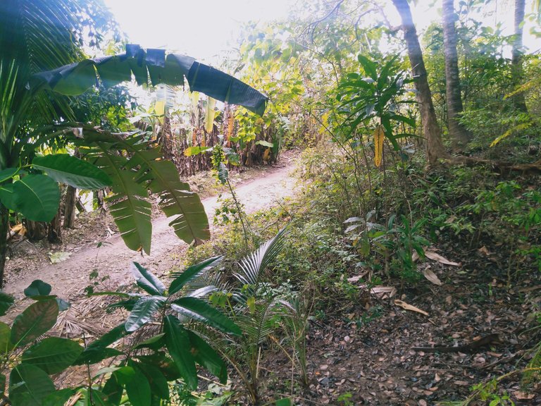 IMG20230123085735.jpg