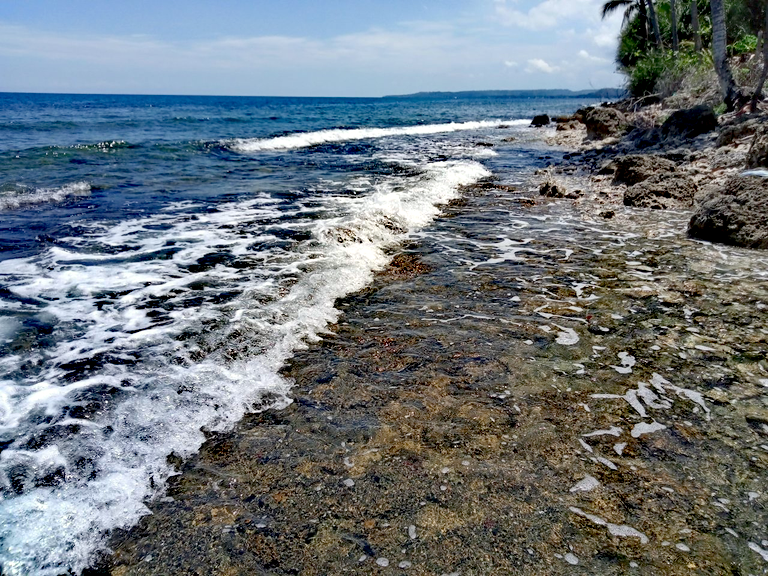 IMG_20250630_161409.png