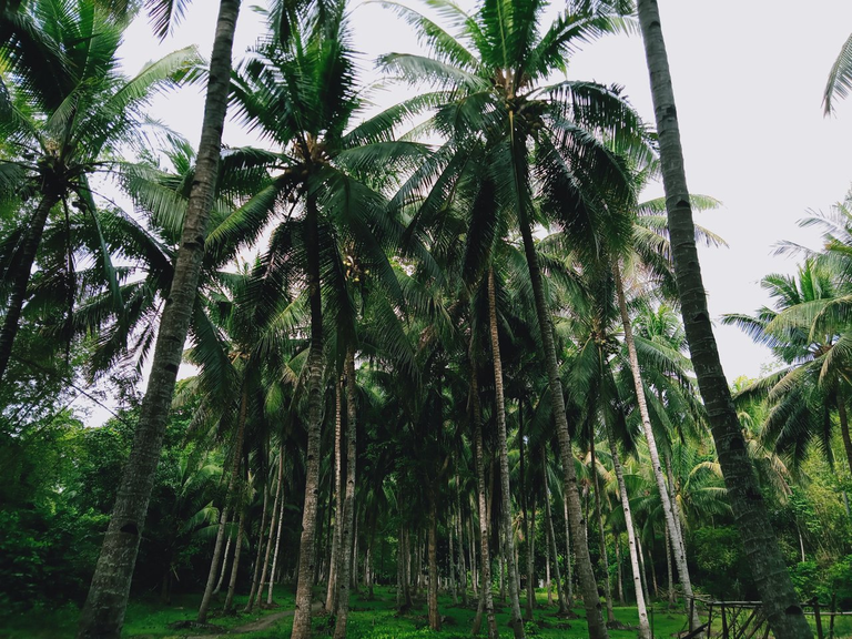 A Day In My Life: Farm Exploring