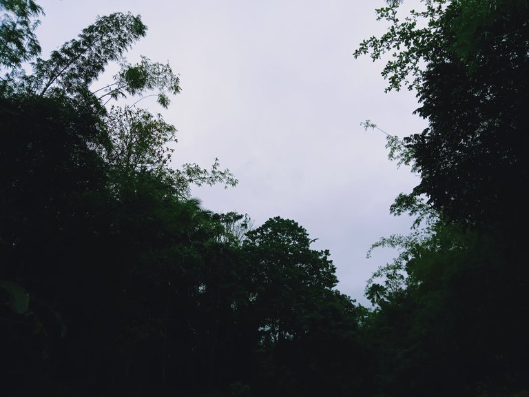 IMG20230306083236_00.jpg