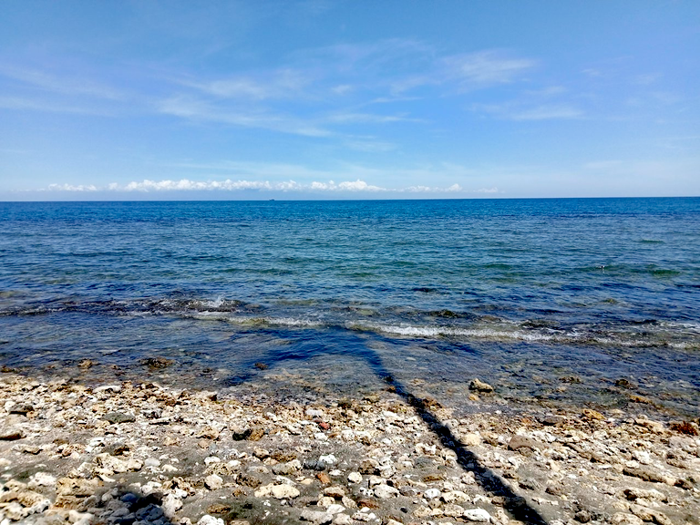 IMG_20250630_161435.png