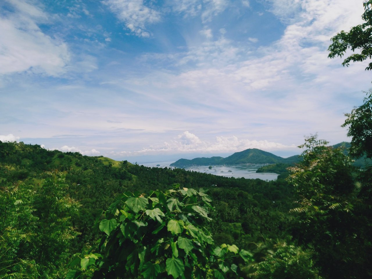 d3506f2e22f805263adee6a9e6ddda0ec5056279.png