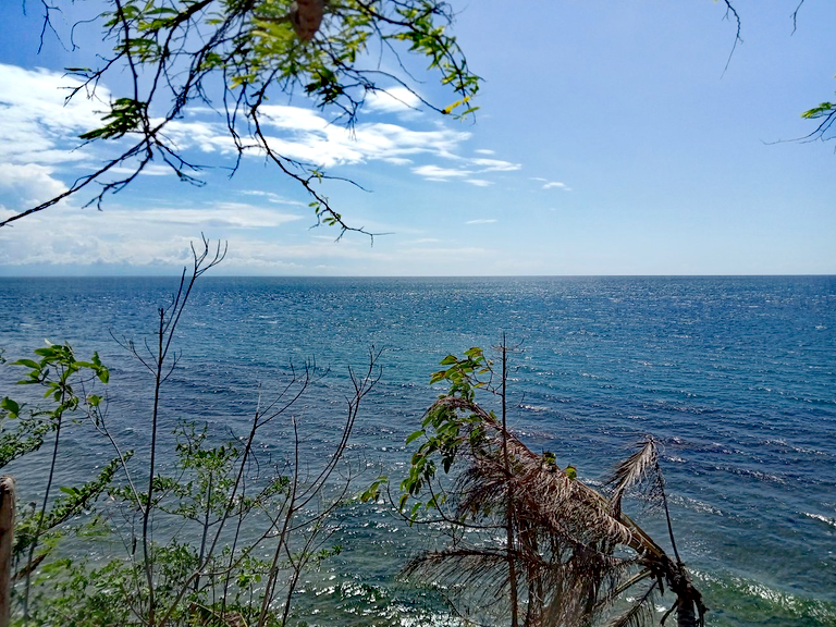 IMG_20250730_065113.png