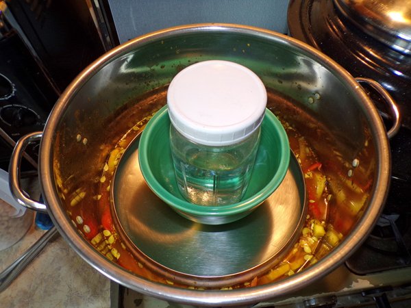 Summer squash relish  vinegar syrup soak crop August 2020.jpg