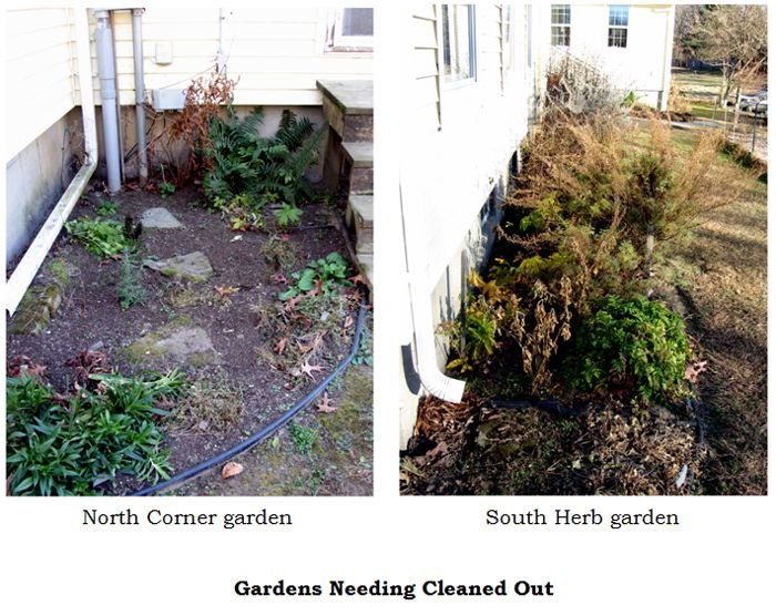 Gardens needing cleaned out collage2 text crop Nov 2024.jpg