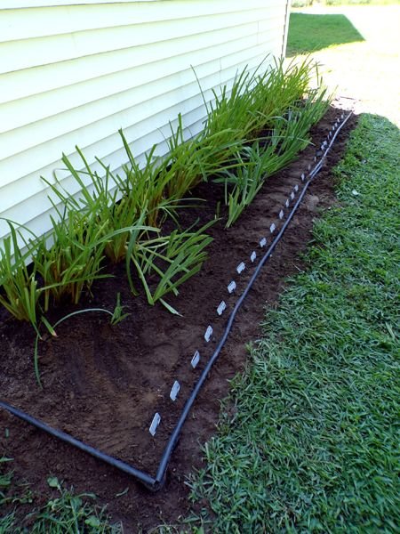 West Shed - finished crop July 2024.jpg