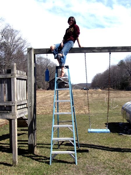 Phoebe on top of swingset crop March 2025.jpg