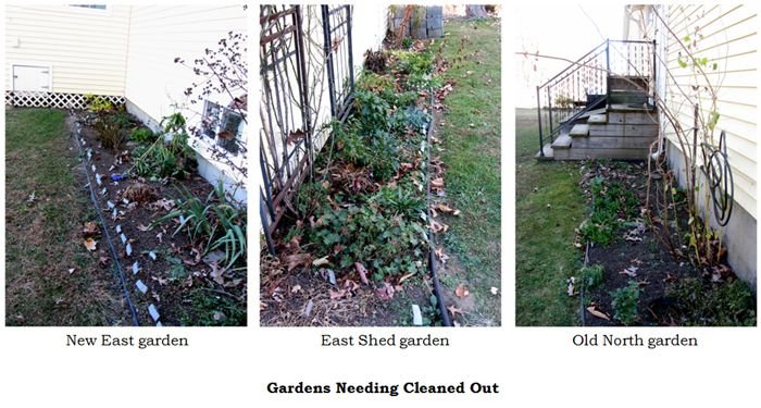 Gardens needing cleaned out collage1 text crop Nov 2024.jpg