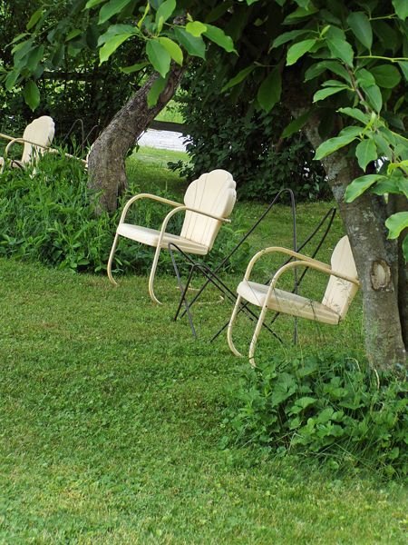 Chairs under trees crop June 2022.jpg