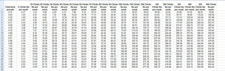 Amounts of Layer Feed per week spreadsheet.jpg