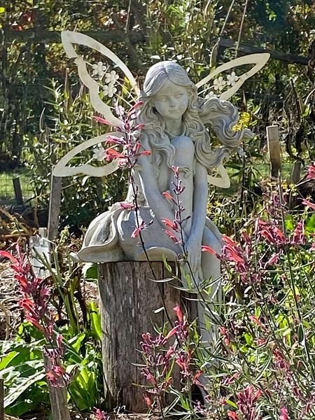 10.Fairy in New Herb crop October 2020.jpg