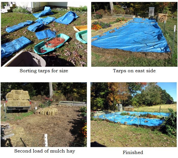 Small garden - tarps on collage text crop Oct 2024.jpg