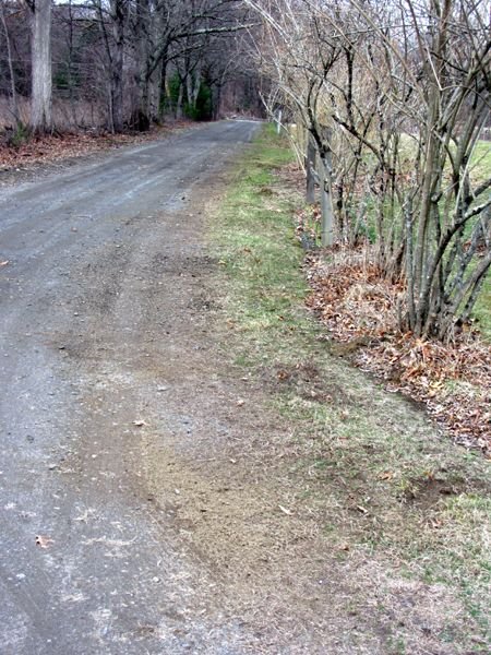 Raking on driveway crop April 2025.jpg
