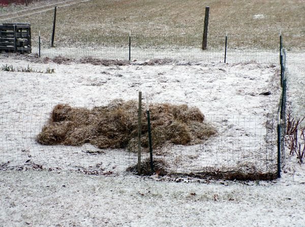 More mulch hay crop Jan. 2023.jpg