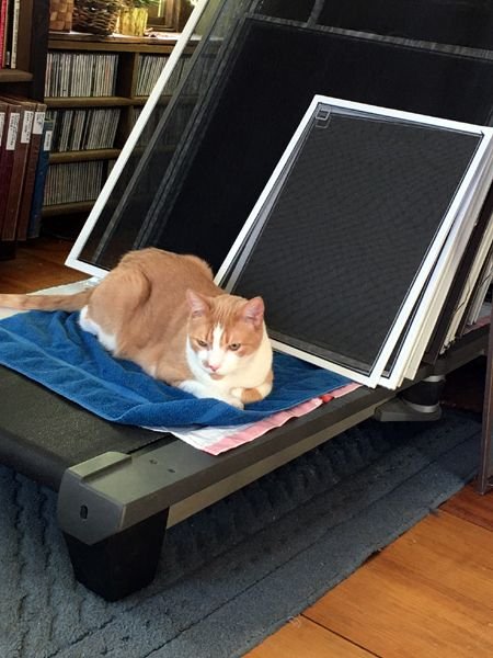 New comfy place crop April 2025.jpg