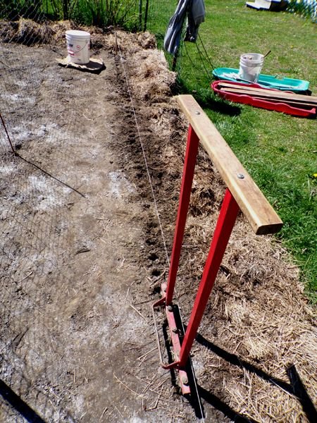 Small garden - forking carrot row crop April 2024.jpg