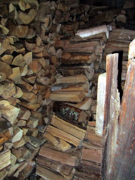 Woodshed - back of 1st side crop July 2025.jpg