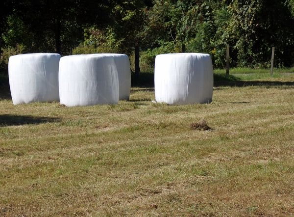 Front pasture - 4 bales wrapped crop Sept. 2022.jpg