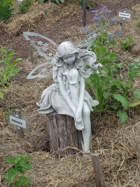 New Herb - fairy in Row 2 crop June 2021.jpg