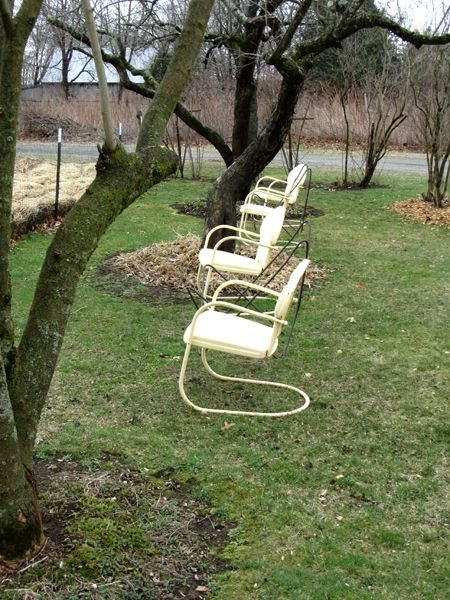 Chairs under trees crop April 2025.jpg
